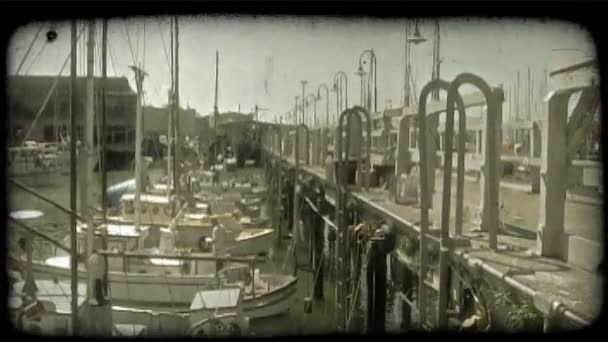 Tiro Largo Barcos Pesca Coloridos Alinhados Amarrados Uma Longa Doca — Vídeo de Stock