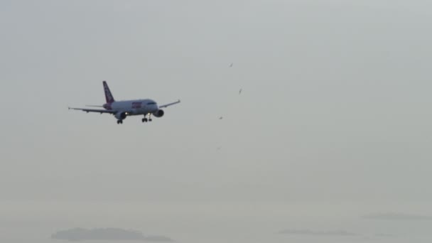 空を舞い上がる拡張その着陸装置を持つ航空機のリオ ジャネイロ 2013 スローモーション映像 その周りに飛翔する鳥 ジャネイロ ブラジルで撮影 — ストック動画