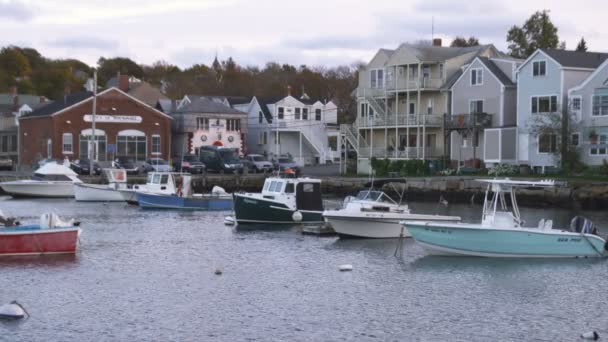 Tiro Rockport Harbor Com Seus Barcos Ancorados Edifícios Beira Mar — Vídeo de Stock