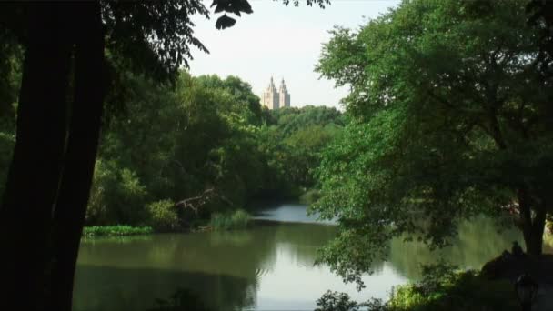 Binaların Iki Kule Benzeri New York Taki Central Park Ağaçlar — Stok video