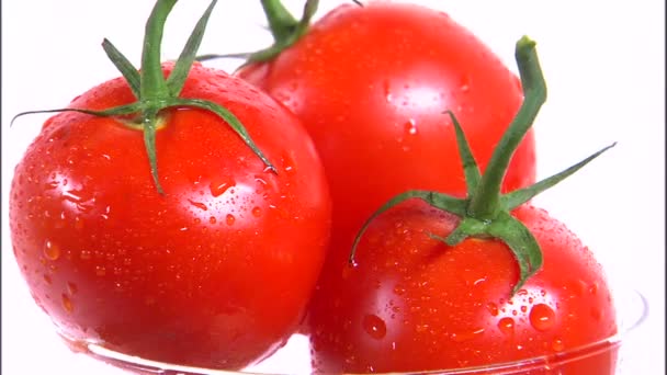 Tiro Médio Três Tomates Girando Uma Tela Branca — Vídeo de Stock