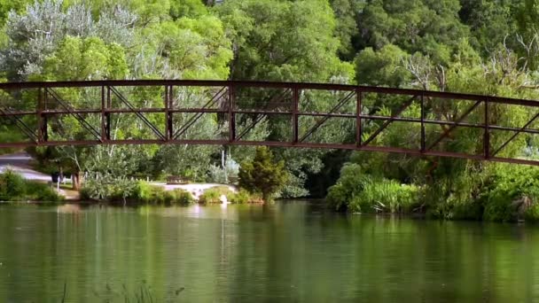 Tiro Lapso Tempo Uma Ponte Sobre Rio Utah Pássaro Visto — Vídeo de Stock