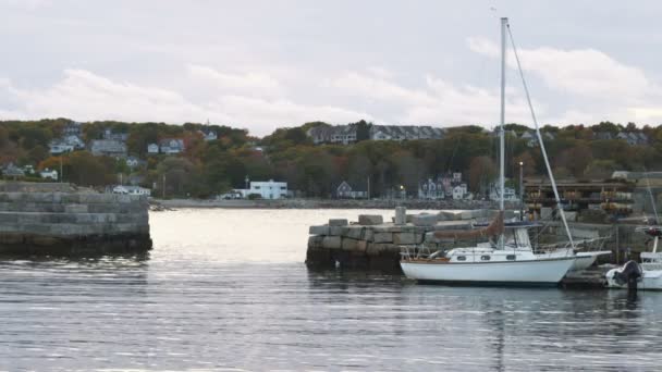 Port Calme Crépuscule Dans Massachusetts Avec Voilier Son Amarrage Des — Video