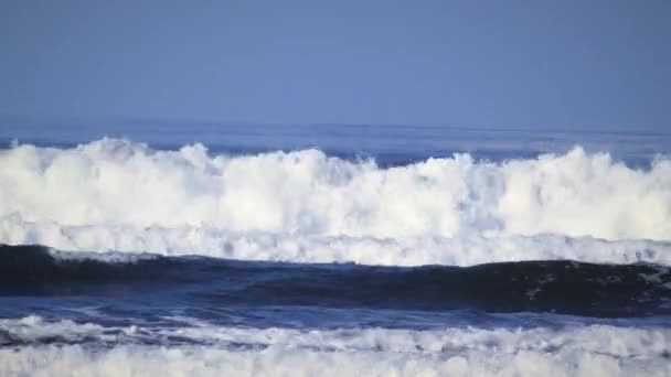 Disparo Hombre Jugando Océano Costa Costarricense Grandes Olas Vienen Del — Vídeos de Stock