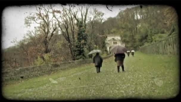 Люди Ходити Дощ Під Парасольками Урожай Стилізовані Відеокліпу — стокове відео