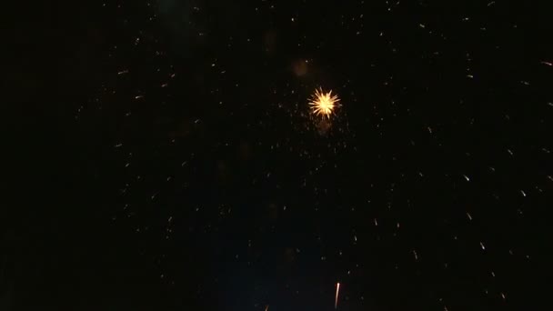 Fuochi Artificio Esplodono Nel Cielo Notturno — Video Stock