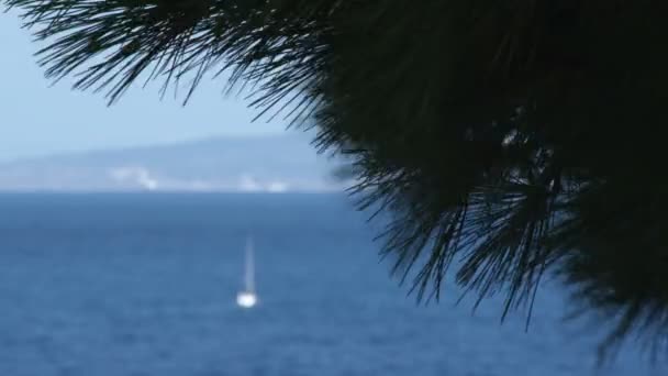 Дальний Снимок Лодки Воде Небольшой Стойкой Фокус Переднего Плана — стоковое видео