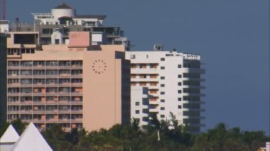 Bir atış ön planda palmiye ağaçları ile Miami otel.