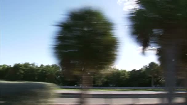 Disparo Camión Pasando Por Una Carretera Miami — Vídeos de Stock