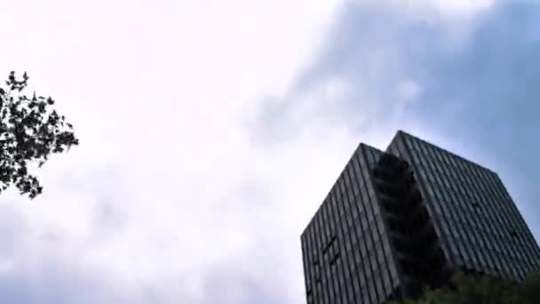 低角旅游摩天大楼建筑物免受蔚蓝的天空 在高大的树木 在伦敦 英格兰下通过视图 — 图库视频影像