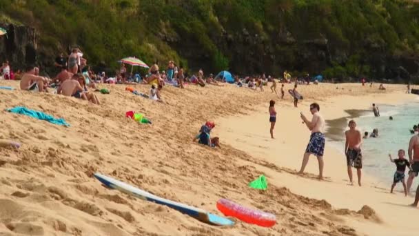 Birçok Kişi Aileler Hawaii Açık Güzel Bir Plaj Ziyaret Edin — Stok video