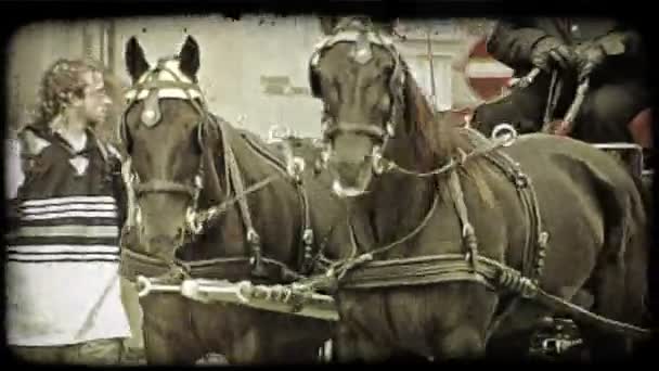 Две Лошади Тянут Карету Вене Винтажный Стилизованный Видеоклип — стоковое видео