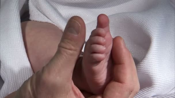 关闭的宝宝的脚是因为它正在召开由成人手 在背景中还有一条白床单 — 图库视频影像
