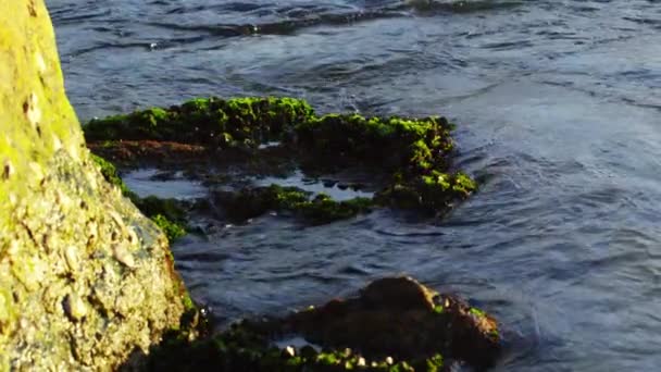 暗水在巨石和岩石面上盘旋的静态拍摄 — 图库视频影像