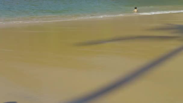 Rio Janeiro Juni 2013 Zeitlupe Schatten Einer Palme Roten Strand — Stockvideo