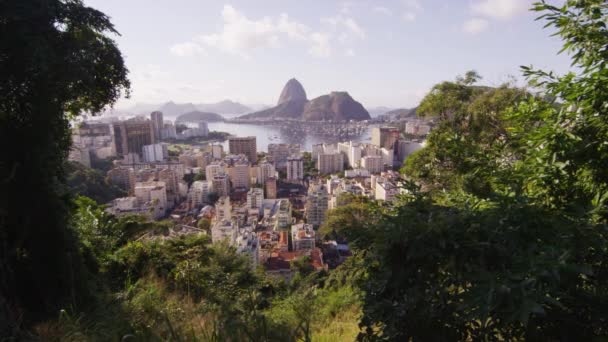 Lehtien Kehystetty Erittäin Teroitettu Seuranta Laukaus Rio Janeiro Vuoret Suuri — kuvapankkivideo