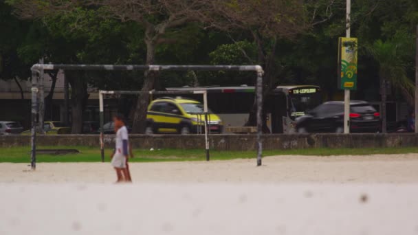 リオデジャネイロ ブラジル 2013年6月23日 ブラジルのリオデジャネイロの通り沿いの公園のスローモーションショット 一部の男の子 彼の犬を歩いている男の子と女性は 通りを通過する車両と一緒にビデオで見られます — ストック動画