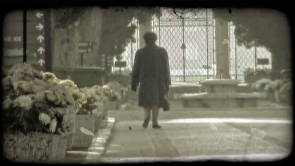 Woman Walks Pathway Italy Vintage Stylized Video Clip — Stock Video