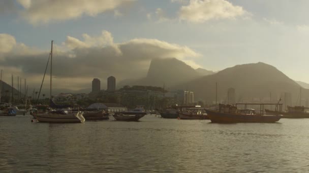 Rio Janeiro June 2013 Static Shot Numerous Boats Anchor Guanabara — Stock Video