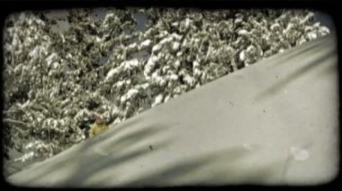 uzman kayakçı, profesyonel vitese giyinmiş dağdan kayaklar. Vintage stilize video klip