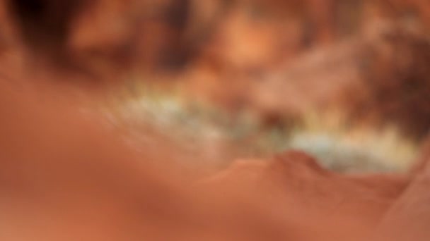火州公园山谷红色岩层的机架焦点 内华达州拍摄 — 图库视频影像