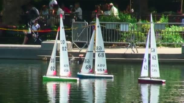 大约在 2015年 三个遥控帆船上一个池塘在纽约中央公园 — 图库视频影像
