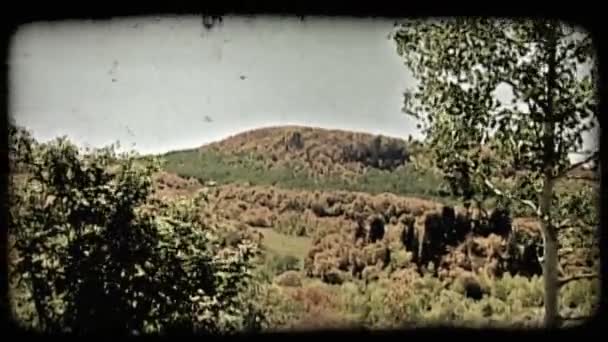 Pomalé Přiblížení Výhledem Horské Údolí Plné Barevných Podzimních Stromů Trávy — Stock video