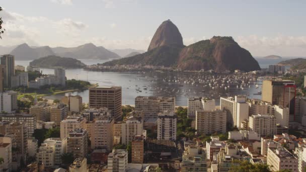 Statische Aufnahme Der Innenstadt Von Rio Janeiro Brasilien Städtische Gebäude — Stockvideo
