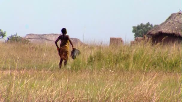 Afrika Keňa Cca Srpen 2010 Öirok Záběr Ženy Mytí Kbelík — Stock video