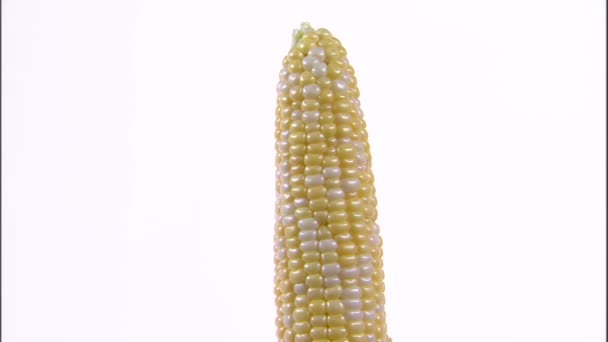 Een Zoom Shot Van Een Kolf Maïs Draaien Een Wit — Stockvideo