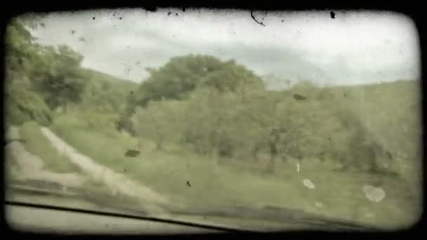 Schuss Aus Dem Fenster Eines Autos Auf Einem Abgelegenen Feldweg — Stockvideo