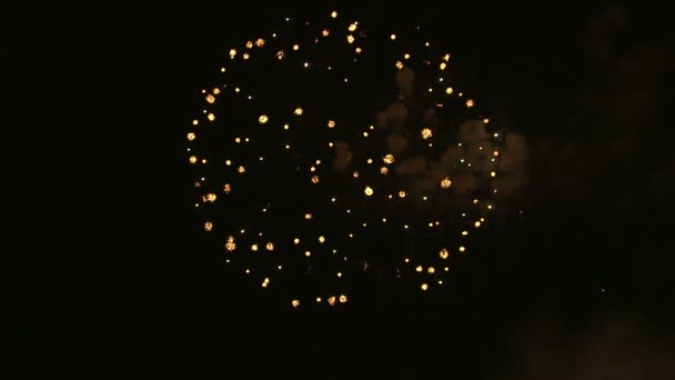 Fuochi Artificio Esplodono Nel Cielo Notturno — Video Stock