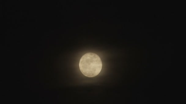 Szeroko Strzał Pełni Księżyca Chmur Przepływających Przód — Wideo stockowe