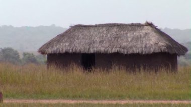 Geniş alan Afrika çimen Hut shot.