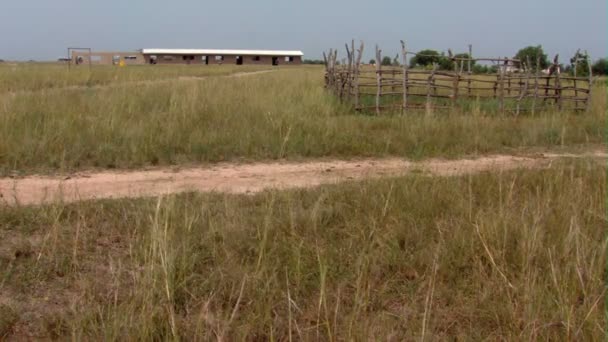 Vue Ensemble Champ Herbeux Clôture Afrique — Video