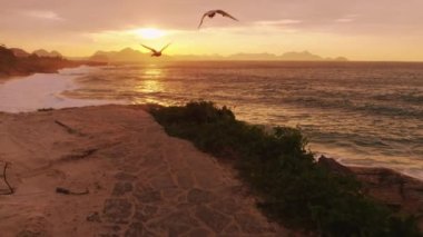 Kamera uzakta Ipanema Plajı üzerinde yükselen güneş ile bir taş yol boyunca hareket eder. Kuşlar soldan uçar..