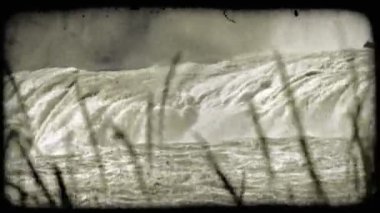 Bu yeşil buğday ön planda ipliklerini için havaya sis püskürtme tepenin üstündeki tatili gibi odak büyük sınırlayıcı şelale raf. Vintage stilize video klip.