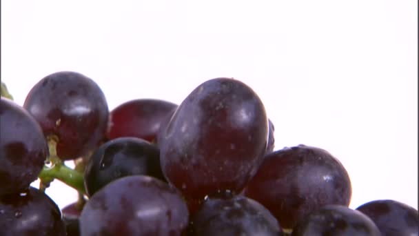 Una Toma Inclinada Surtido Frutas Jarrón Girando Una Pantalla Blanca — Vídeos de Stock