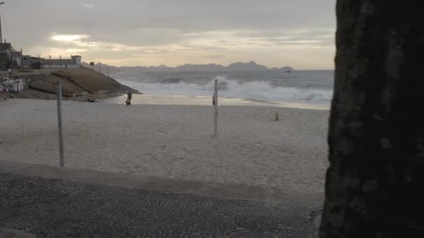 这是在里约热内卢伊帕内玛海滩慢跟踪拍摄 两只狗和它们的主人在远距离岸边玩 — 图库视频影像