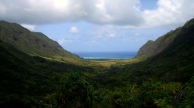Güzel manzara plaj ve Pasifik Okyanusu, iki tarafında yükselen iki yüksek dağlar arasında önde gelen yeşil Hawaii Vadi Manzaralı.