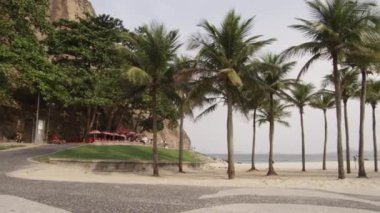 Beach, Rio de Janeiro okyanusa bakan uzun palmiye ağaçları ile.