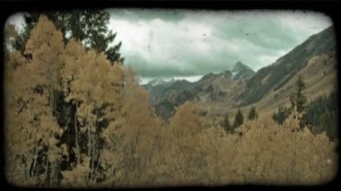 Dağlık vadinin zaman atlamalı uzak arka planda kahverengi ve mavi karla kaplı dağlar ve ön planda büyük dökmeyen çam ağaçları ve parlak sarı aspens ile bakmaktadır. Vintage stilize video klip.