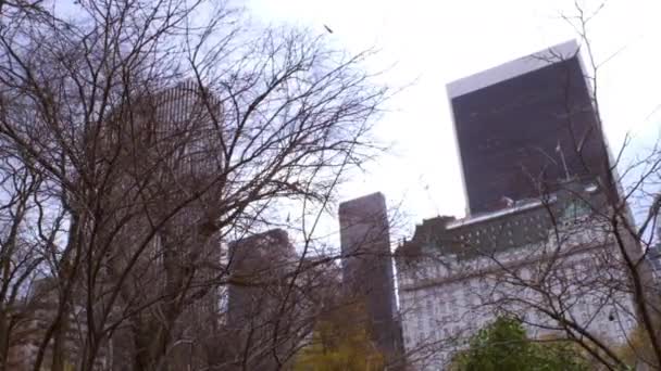 多莉在纽约市的树后的建筑物拍摄 建筑物后面是一些树木 部分覆盖了城市景观 — 图库视频影像