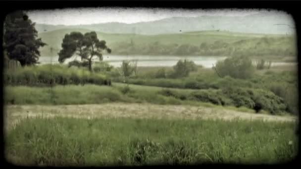 Pan Foto Destra Una Macchina Che Guida Lungo Una Strada — Video Stock