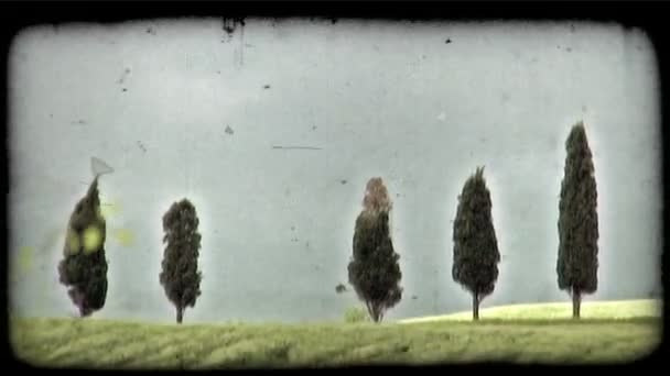 Постріл Зелений Італійський Поля Урожай Стилізовані Відеокліпу — стокове відео