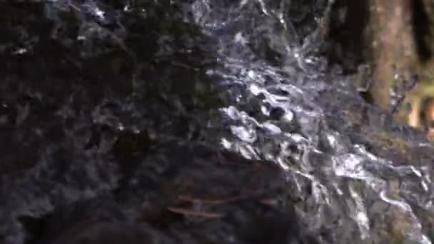 Feche Tiro Água Que Corre Sobre Rocha Sombra Movimento Lento — Vídeo de Stock