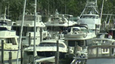 Miami'de bir marina daki teknelerden sağ kaydırma bir atış.