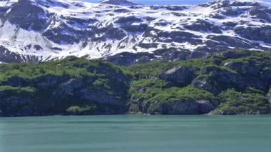 Kıyı şeridine yakın kayaları kaplayan yeşillikli karlı, pürüzlü bir dağ sırasının sol pan-sol.