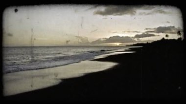 Hala güzel ıssız plaj dalgaları ve arka planda koyu turuncu günbatımı ve palmiye ağaçları ile okyanus vurdu. Vintage stilize video klip.