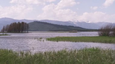 Geniş atış akışı ve Yellowstone dağlarda çim.